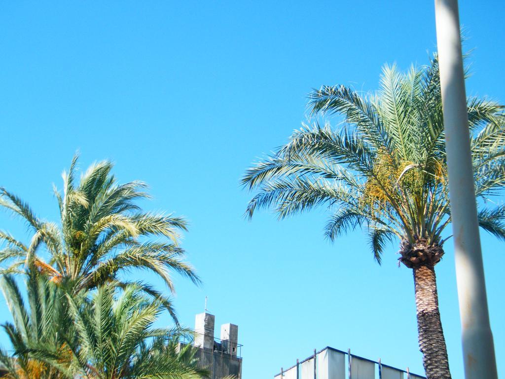 Appartamento Vacanze I Provenzali Bordighera Luaran gambar